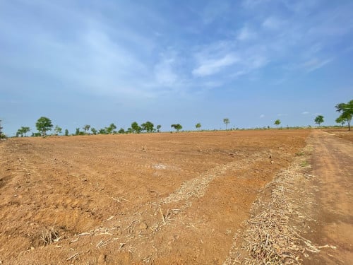 ដីលក់​ 10 h​ (ស្រែណូយ)