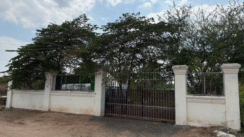 ដីលក់
