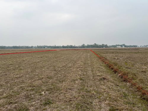 🏦House for Urgent Sale (Negotiable), ABA Loan Available