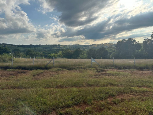 ចង់លក់ដី ផ្ទាល់ខ្លួនប្លងរឹងដីនៅស្រុកអូរាំង ខេត្តមណ្ឌលគីរី