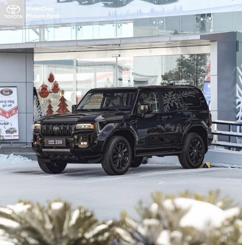 Land crusier Prado 250