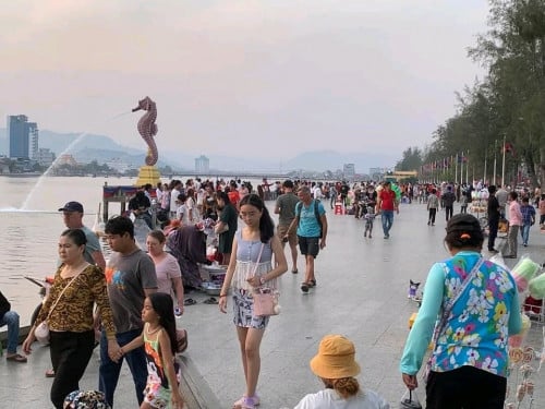 ដីកំពតលក់បន្ទាន់