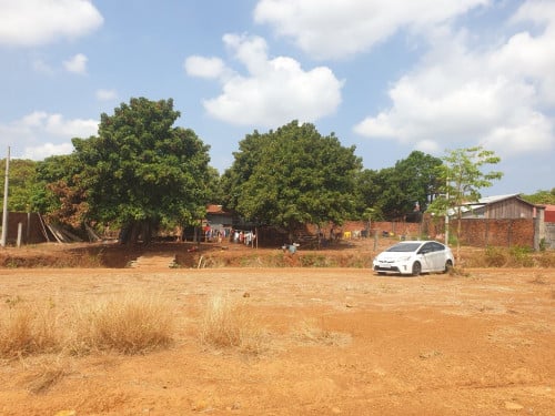 លក់ទាំងអស់ឫឡូ 22x20