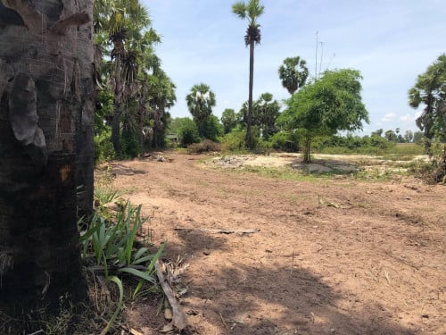 ដីលក់បន្ទាន់