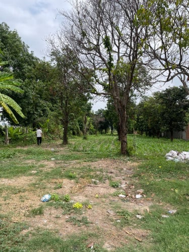 ដីលក់នៅអរិយក្សត្រ​ ជិតផ្សារព្រែកលួង- Land for Sale (Negotiable)