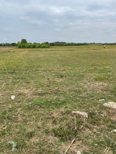 ដីលក់នៅក្រុងអរិយក្សត្រ​ ជិតផ្សារព្រែកលួង- Land for Sale (Negotiable)