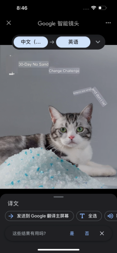 Silica gel cat litter for sale