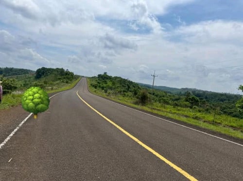 ដីសំរាប់លក់