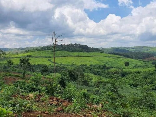 ដីសំរាប់លក់