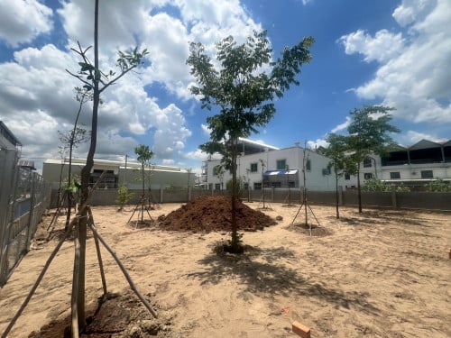 ដី​ 20.5*20 (250$)