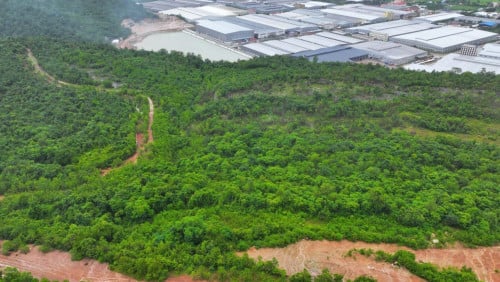 Land for sale sale located in Prey Nob District Kongpong Som Province Behind Zhenjiang SEZ, NR4