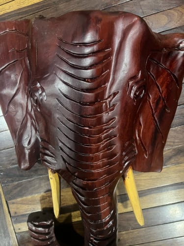 ក្បាលដំរី ស្អាត តាំងលេីជញ្ជាំង