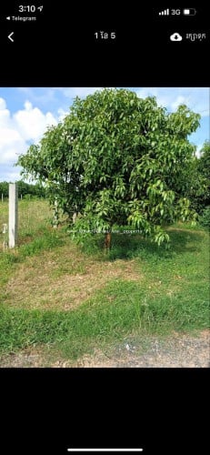 ដីចំការ លំហែរ ជាប់ ភូមិ ផ្កាត្រកួន