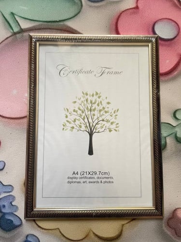 ស៊ុំរូបថត A4 1$