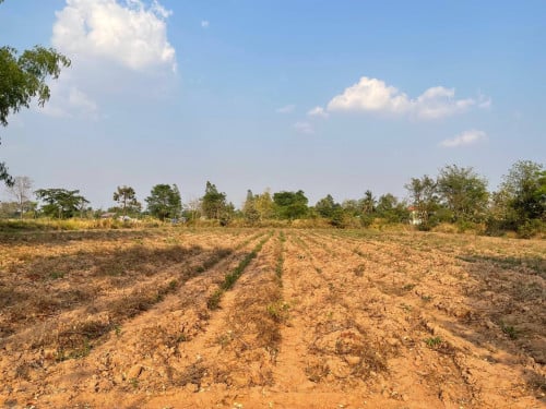 ដីលក់ 6500