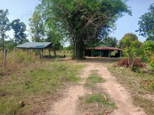 ឡៃឡុង   មានប្រពន្ធ័ភ្លើង ទឹករដ្ឋ ដីល្អសម្រាប់លំនៅដ្ឋាន កសិកម្ម ឬពុះឡូត៍លក់ក៏បាន ប្លង់រឹង