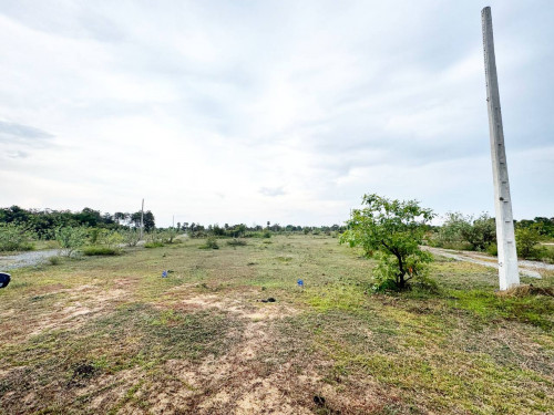 ដីលក់បន្ទាន់ផ្លូវ51 ក្រោមទីផ្សារ