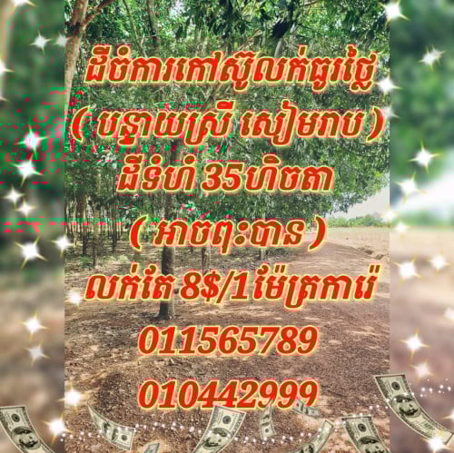 ដីលក់