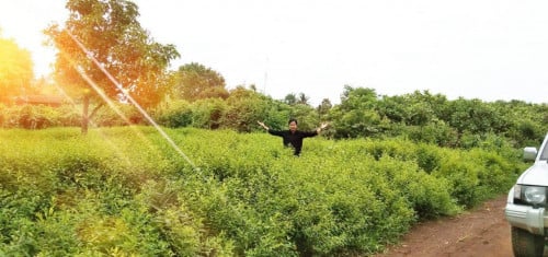 ដីទំហំ១៧x៣០ឞ ជិតផ្សារបុស្សខ្នុរលក់