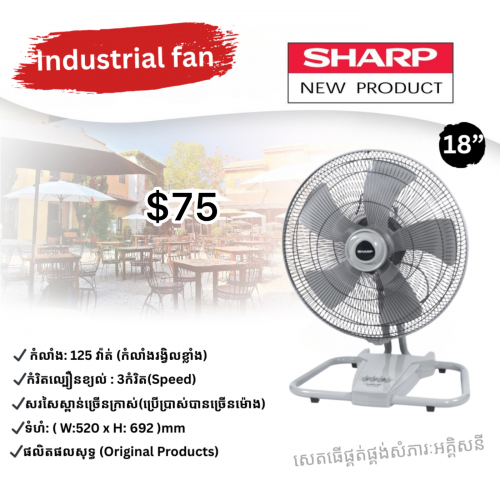 កង្ហារយក្យជើងធំ SHARP
