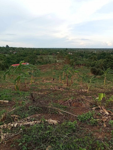 ដីលក់បន្ទាន់ខ្លាំង
