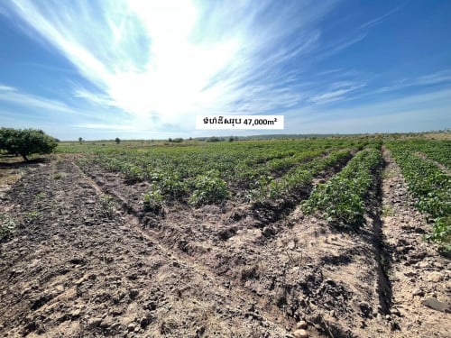 🏦Land for Urgent sale (Negotiable), ABA Loan Available