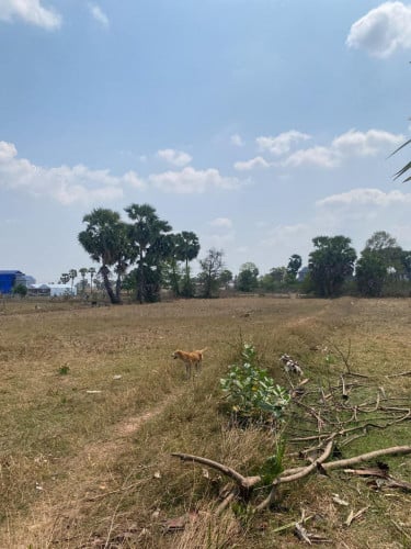 ជួលដីធ្វើរោងចក្រ ឬឃ្លាំង