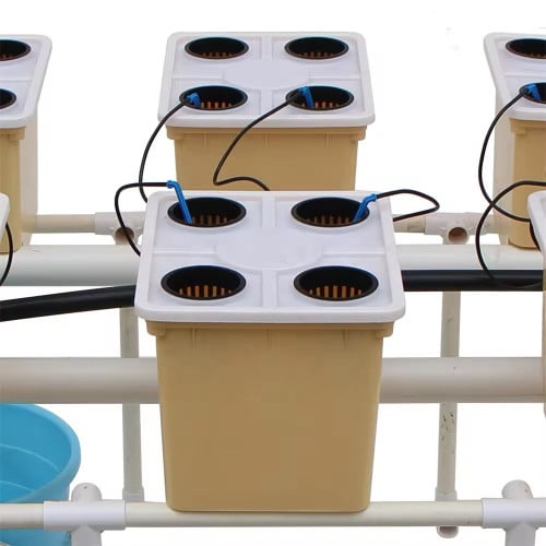 ធុងដាំបន្លែ