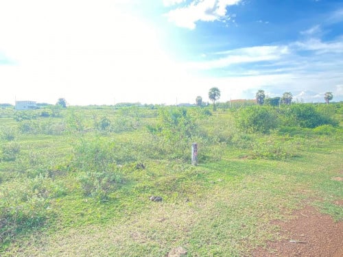 ដីលក់បន្ទាន់