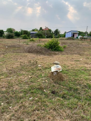 ដីឡូត៍សម្រាប់លក់