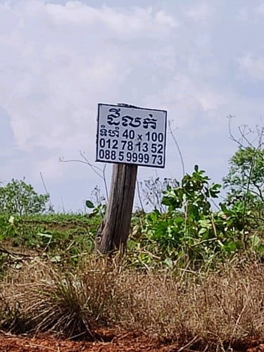 ប្លង់រឹង 41មុឺន ក្រោមតម្លៃទីផ្សារ