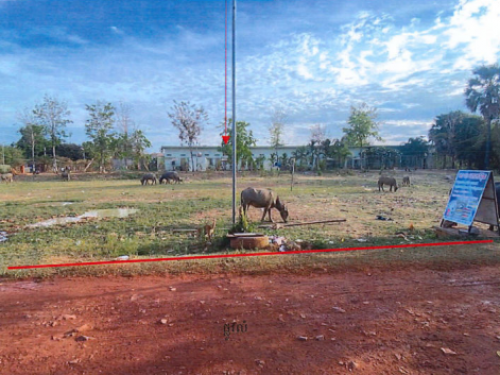 🏠 អចលនទ្រព្យ លក់ឡាយឡុង (Auctioned Properties) 🏷