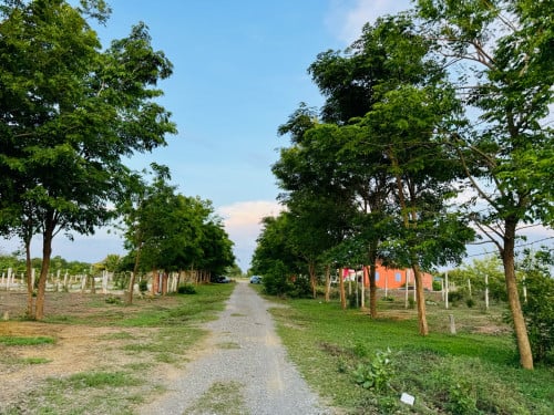 ដីលម្ហែប្លង់រឹង លក់ធូរថ្លៃ ១១គីឡូពីក្រុង