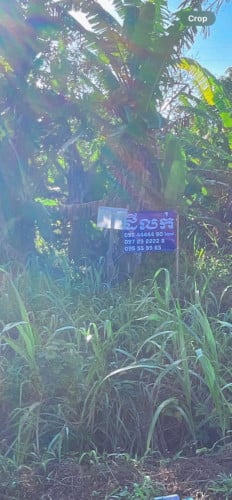 ដីលក់ប្រញាប់លុយជាប់ផ្លូវជាតិលេខ10