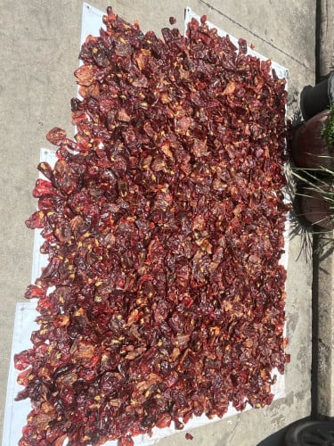 ម្ទេសឆ្អើរលក់