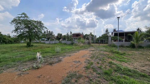 លក់ដីចំការក្នុងភូមិ