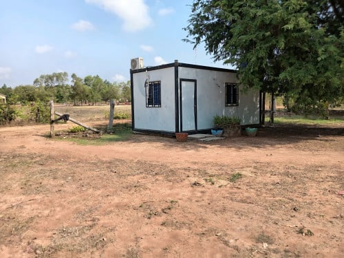 ដីចម្ការស្វាយលក់បន្ទាន់