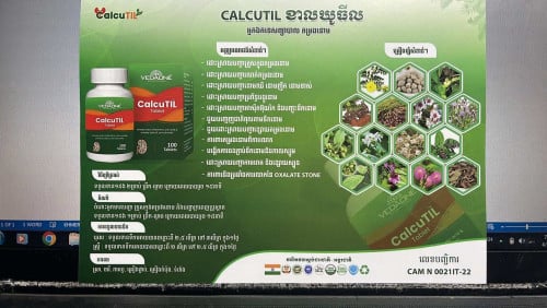 ព្យាបាលតម្រង់នោម