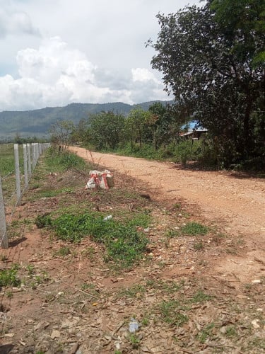 ដីជួល សម្រាប រីសត ចំការ