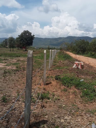 ដីជួល សម្រាប រីសត ចំការ