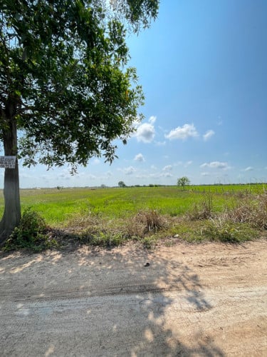 ដីលក់តម្លៃទន់ៗ