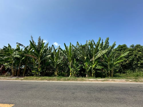 ដីលក់ជាប់ទន្លេរ  17m x 127m