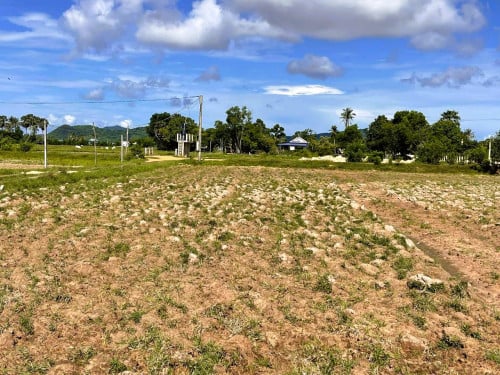 🏦Land Available for Urgent Sale at a Special Price (Negotiable).