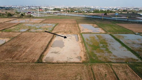 Commercial Land for Sale (P004)