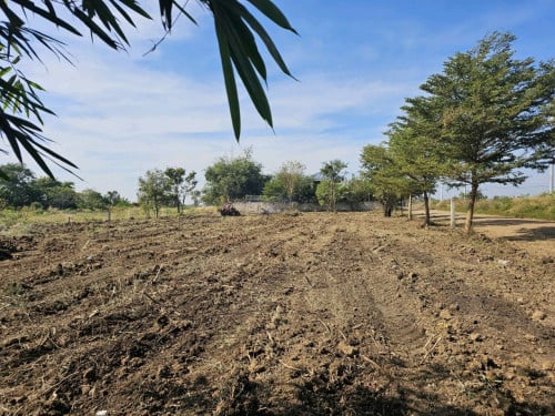 ដីលក់បន្ទាន់