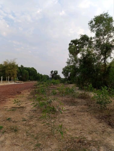 ដីជួលដាក់អង់តែនទូរសព្ទ