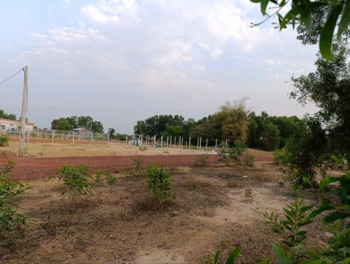 ដីជួលដាក់អង់តែនទូរសព្ទ