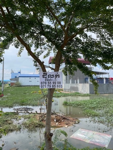 ដីលក់ ទីតាំង ខាងលិចផ្លូវកប់ស្រូវ សង្កាត់ស្នោ