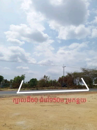 ដីលើផ្លូវ44