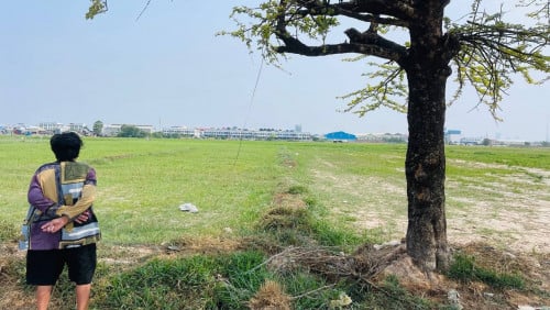 ដីលក់​បន្ទាន់​